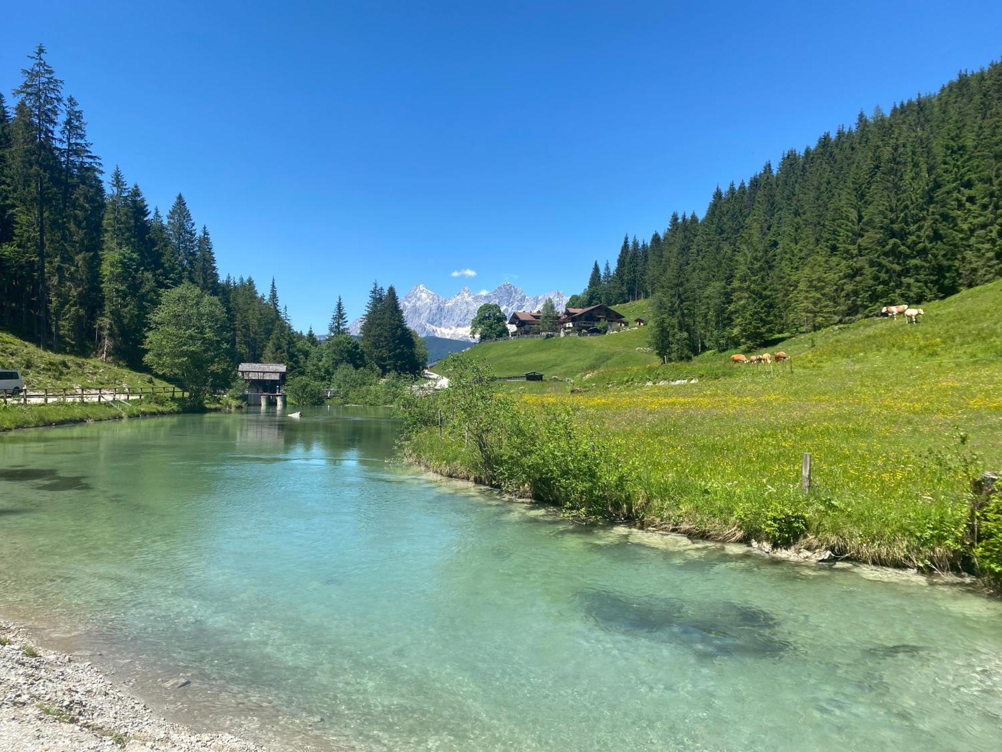 Appartements By Chalet Reiteralm -Sommercard Schladming Bagian luar foto