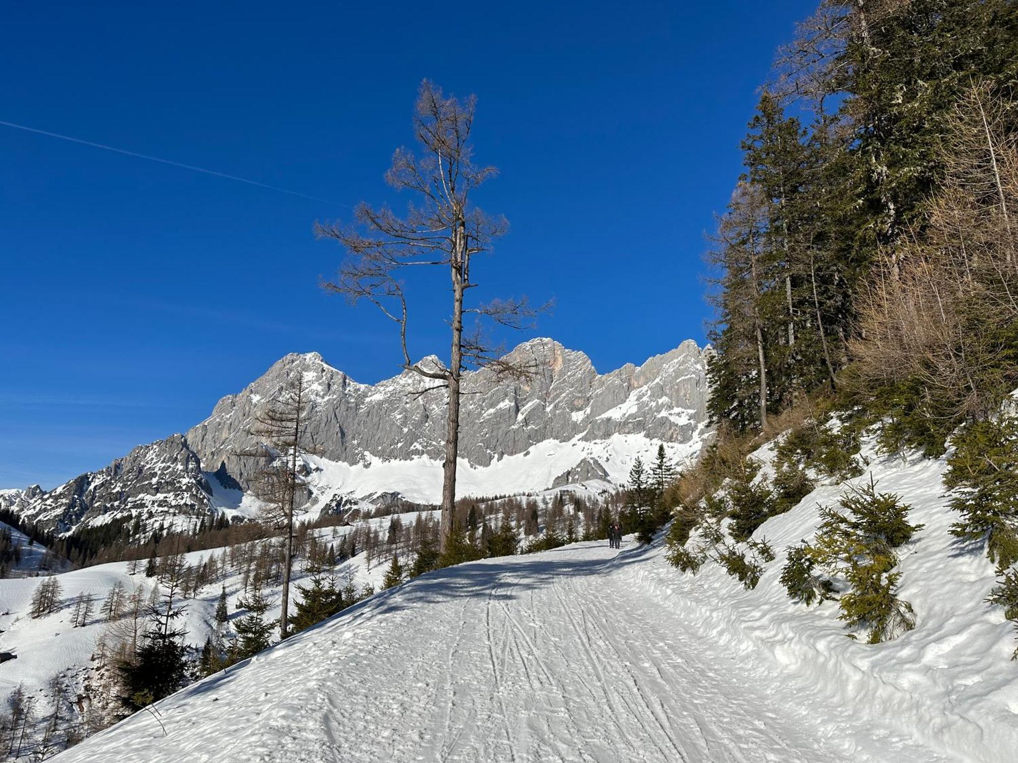 Appartements By Chalet Reiteralm -Sommercard Schladming Bagian luar foto